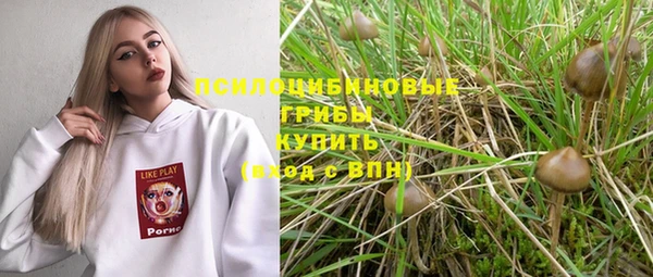 героин Каменка