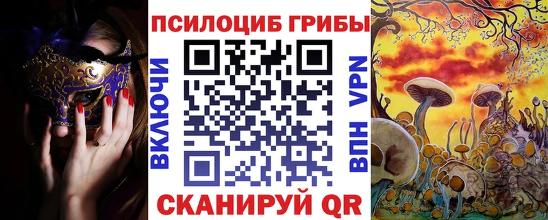 Купить  Когалым  Галлюциногенные грибы GOLDEN TEACHER 